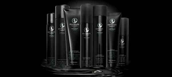 New arrival!  Paul Mitchell Awapuhi Wild Ginger line of products